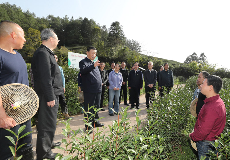 3月22日至25日，中共中央总书记、国家主席、中央军委主席习近平在福建考察。这是22日下午，习近平在南平武夷山市星村镇燕子窠生态茶园，同科技特派员、茶农亲切交流，了解当地茶产业发展情况。新华社记者 鞠鹏 摄